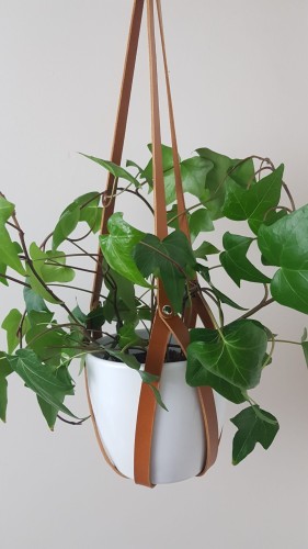 20201201_200353.jpg