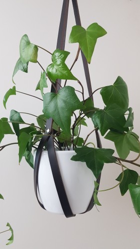 20201201_201132.jpg