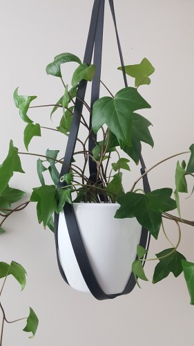 20201201_201521.jpg