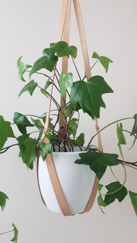 20201201_201317.jpg
