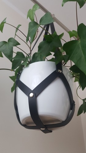 20201201_193339.jpg