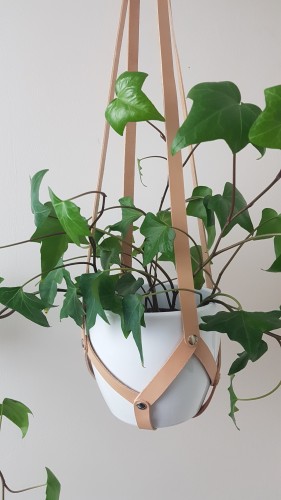 20201201_195133.jpg
